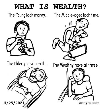 What is wealth