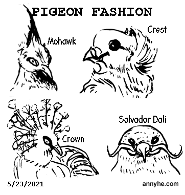 Pigeon fashion