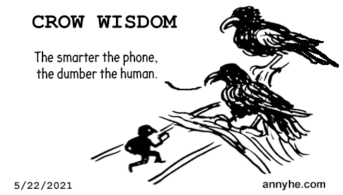 Crow wisdom